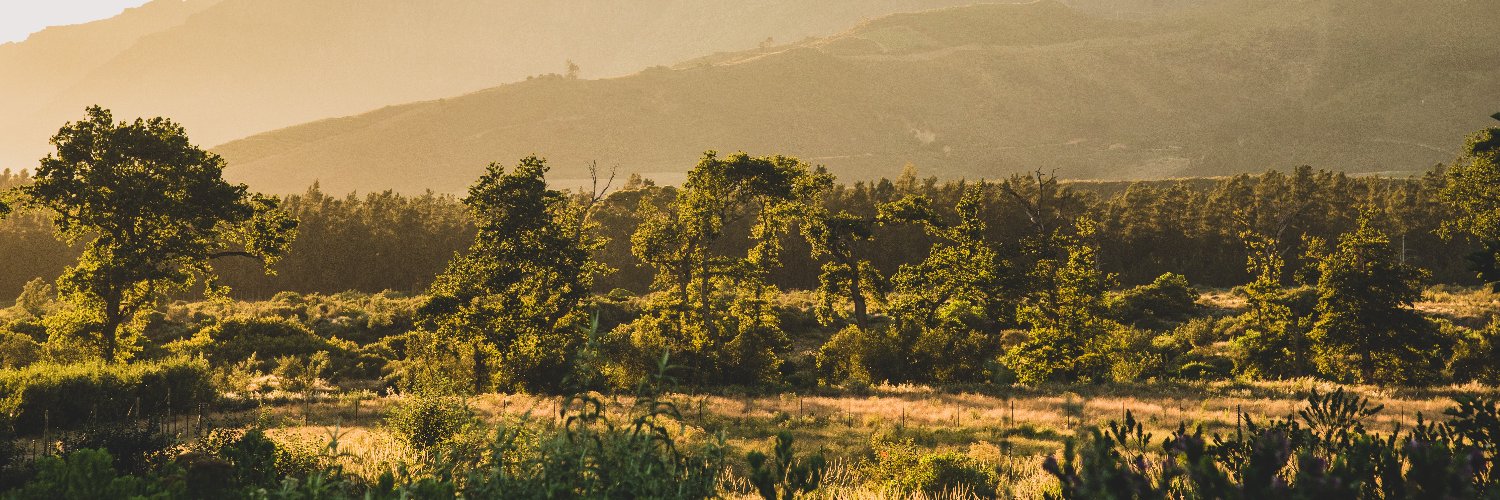 BoschendalFarm's profile banner image