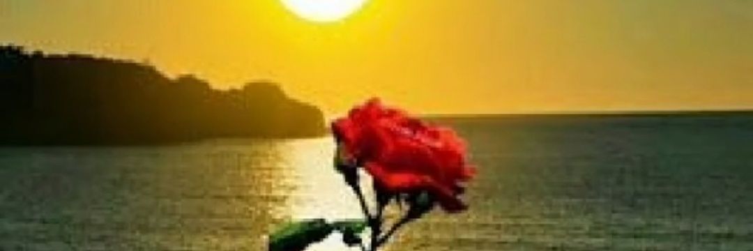 23Erturk's profile banner image
