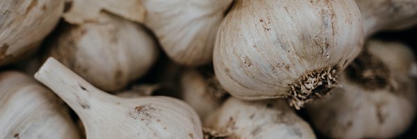 LocalRootsWoo Profile Banner