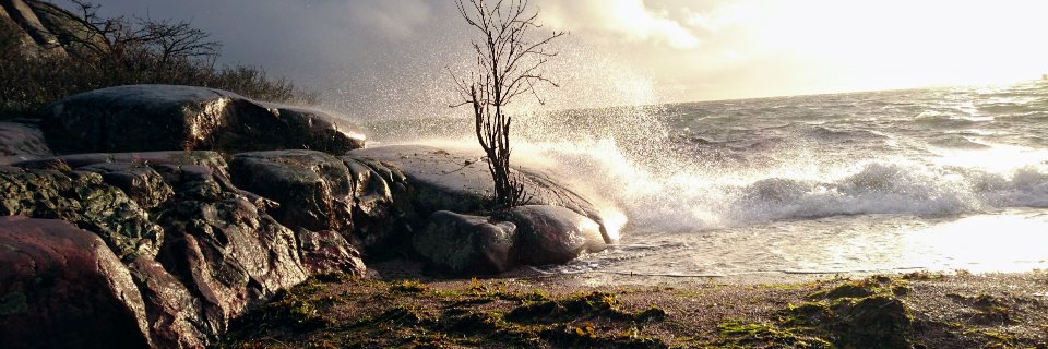 PHalmes1's profile banner image