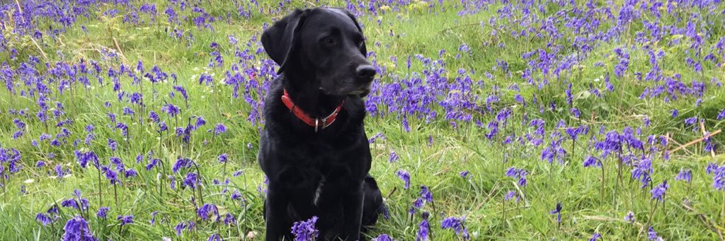 MrsRadcliffe05's profile banner image