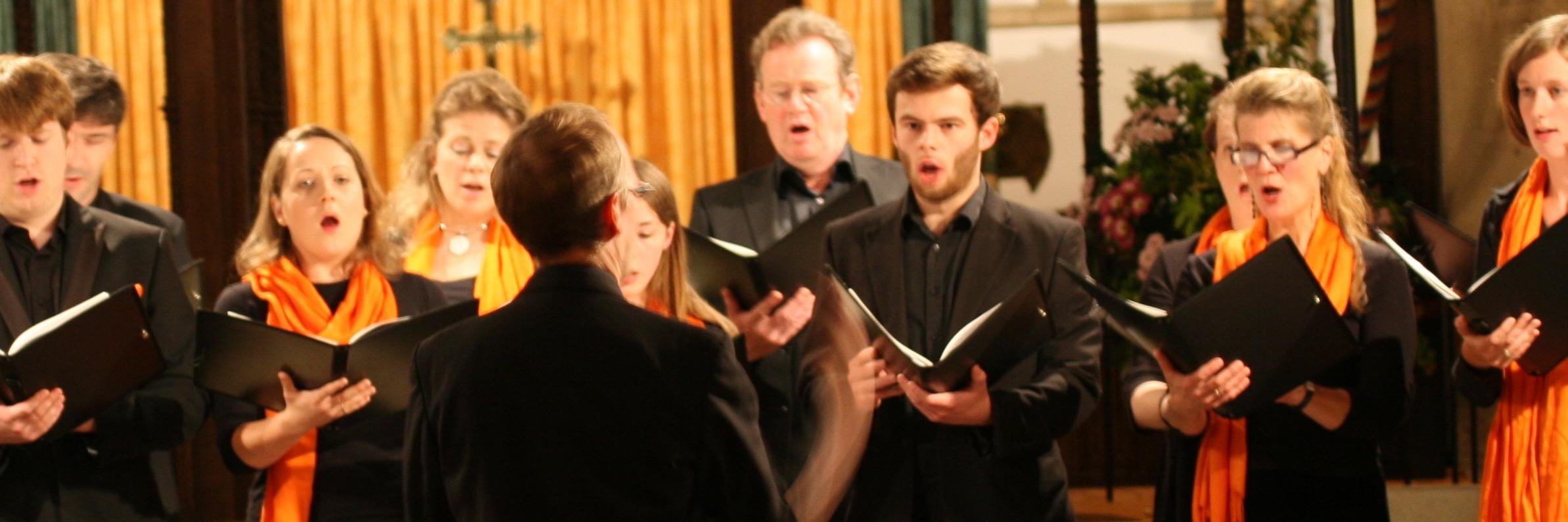 TCCsings's profile banner image