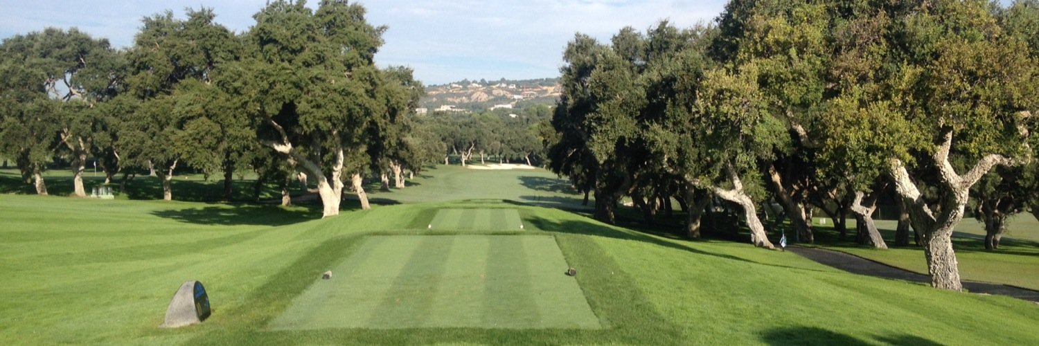 Alex Nicolson banner