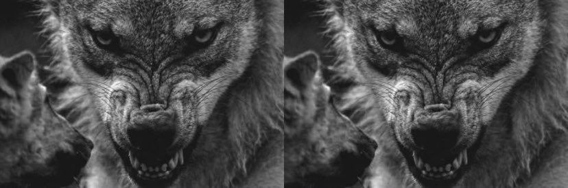 Jpicone7's profile banner image