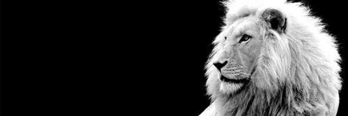 MarcelloMCMLXIX's profile banner image