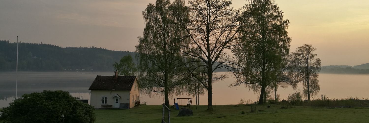 AnnaSvalander's profile banner image