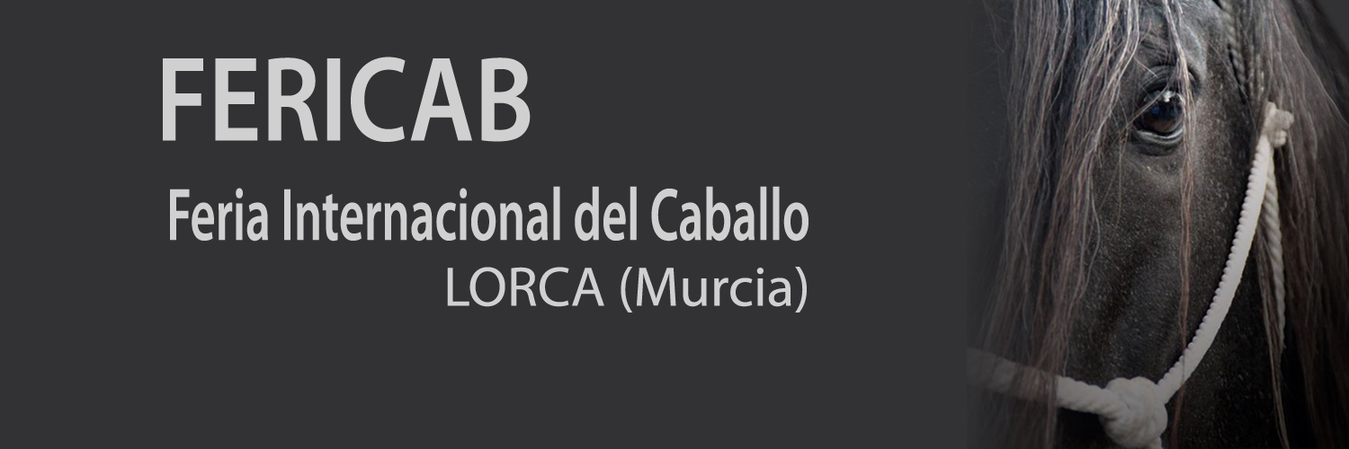 Fericab_Lorca's profile banner image