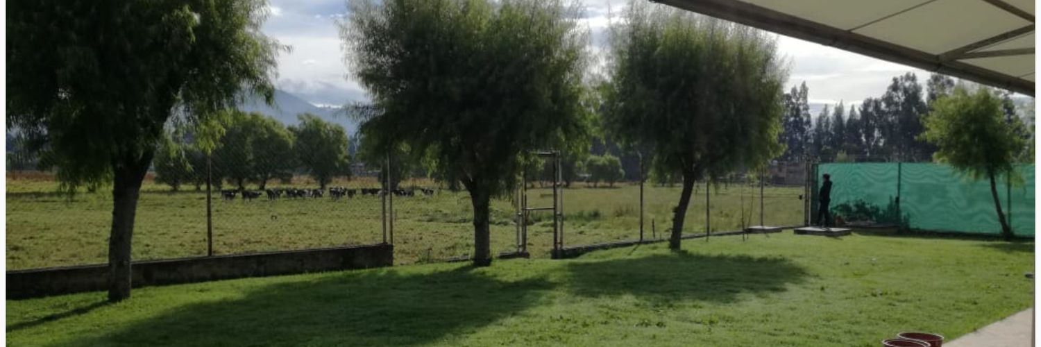 Raquel Castillo Guibert banner