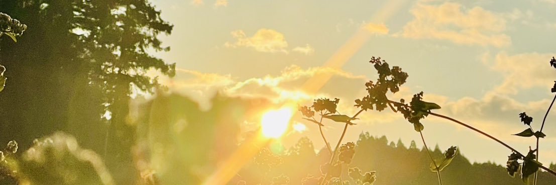 tokuhou7's profile banner image