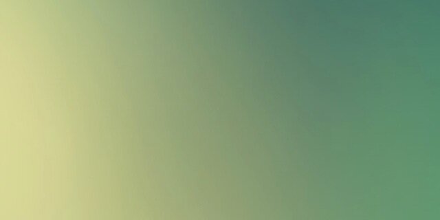 hollifer's profile banner image