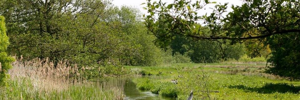 GWCT Norfolk banner
