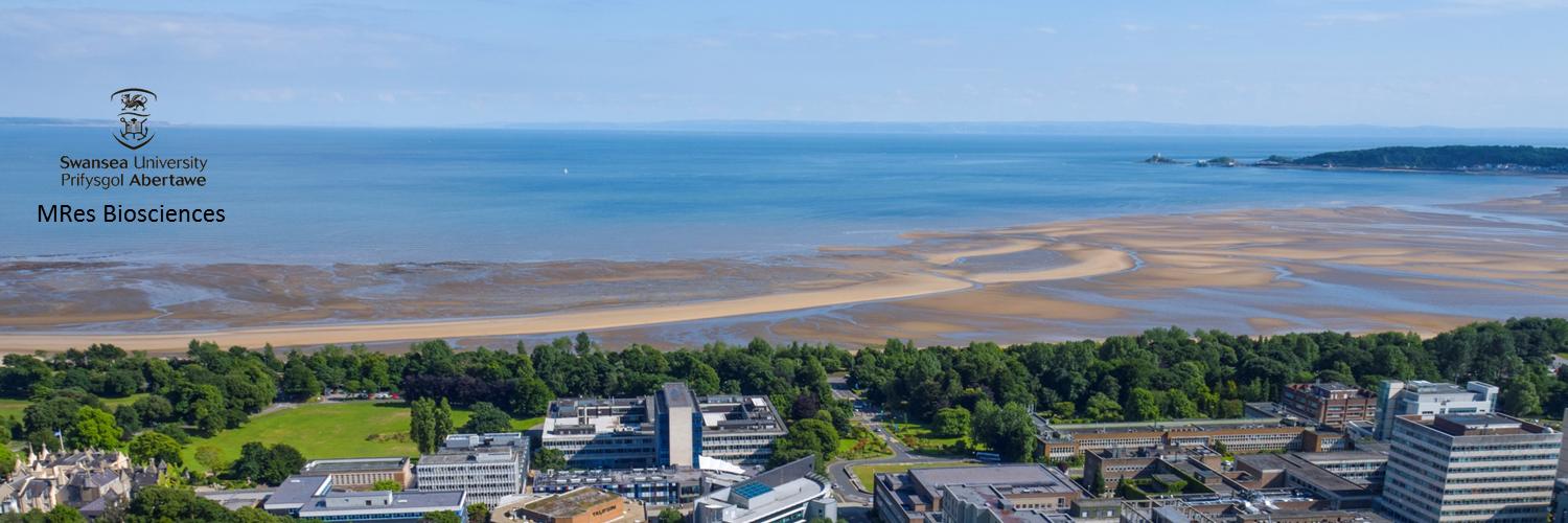 MRes Biosciences, Swansea University banner