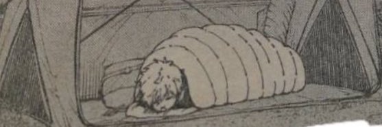 nagiseei's profile banner image