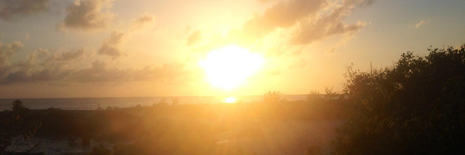 jessicamaryhill's profile banner image