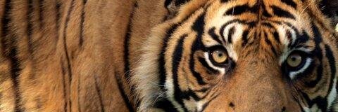 brendahobday's profile banner image
