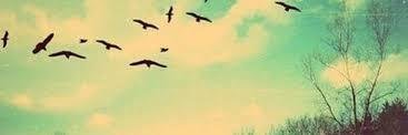 Wigga7806's profile banner image