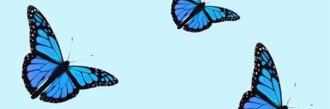 gretadoveri's profile banner image