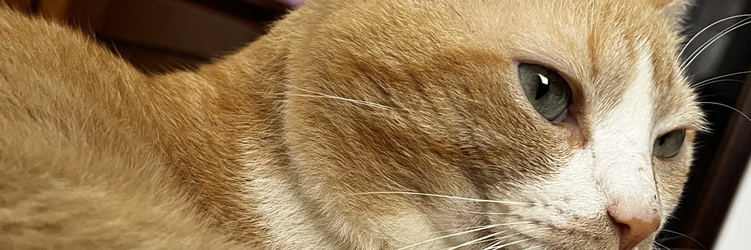 PedroThe13's profile banner image