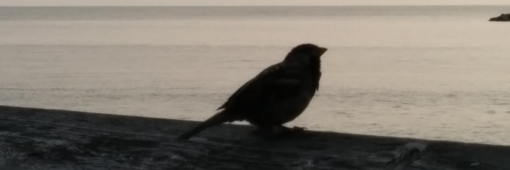 btbocesvideo's profile banner image