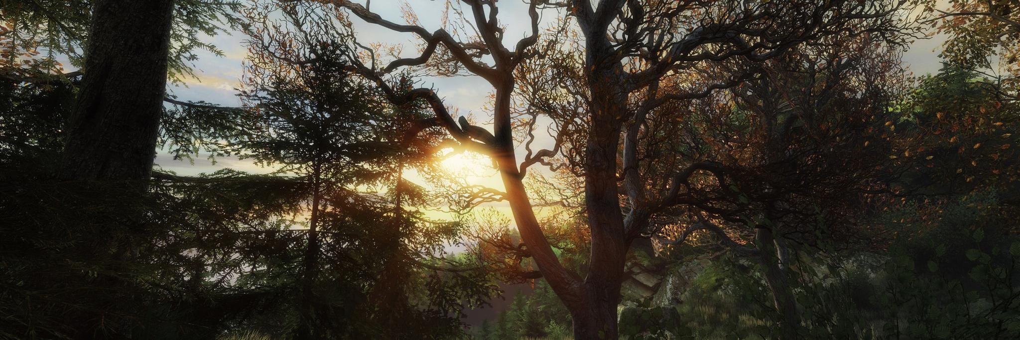 Tigaami's profile banner image