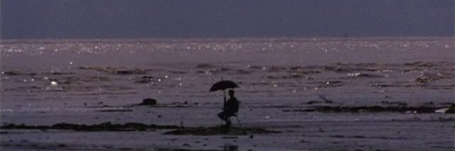 MultilaDelay's profile banner image