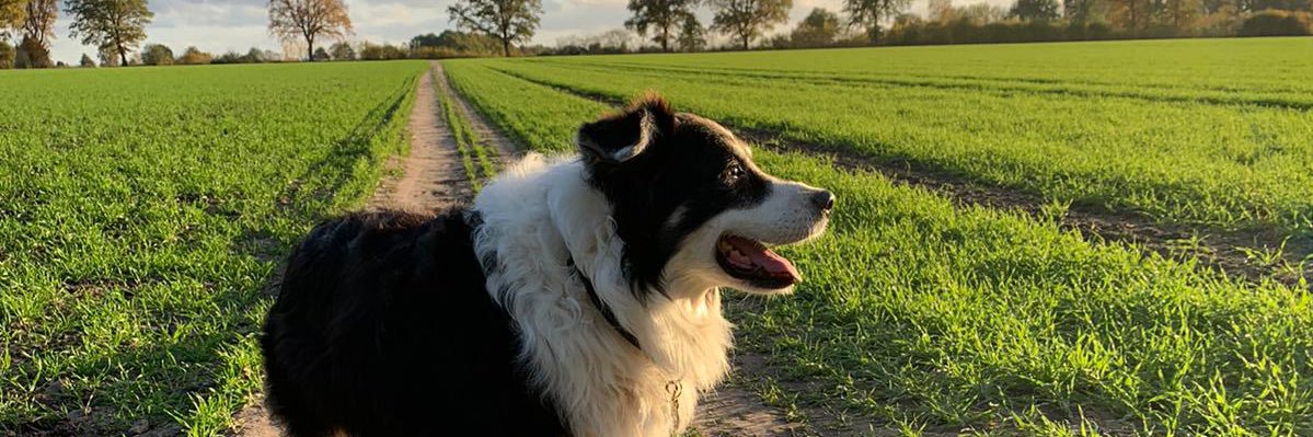 TimThrw's profile banner image