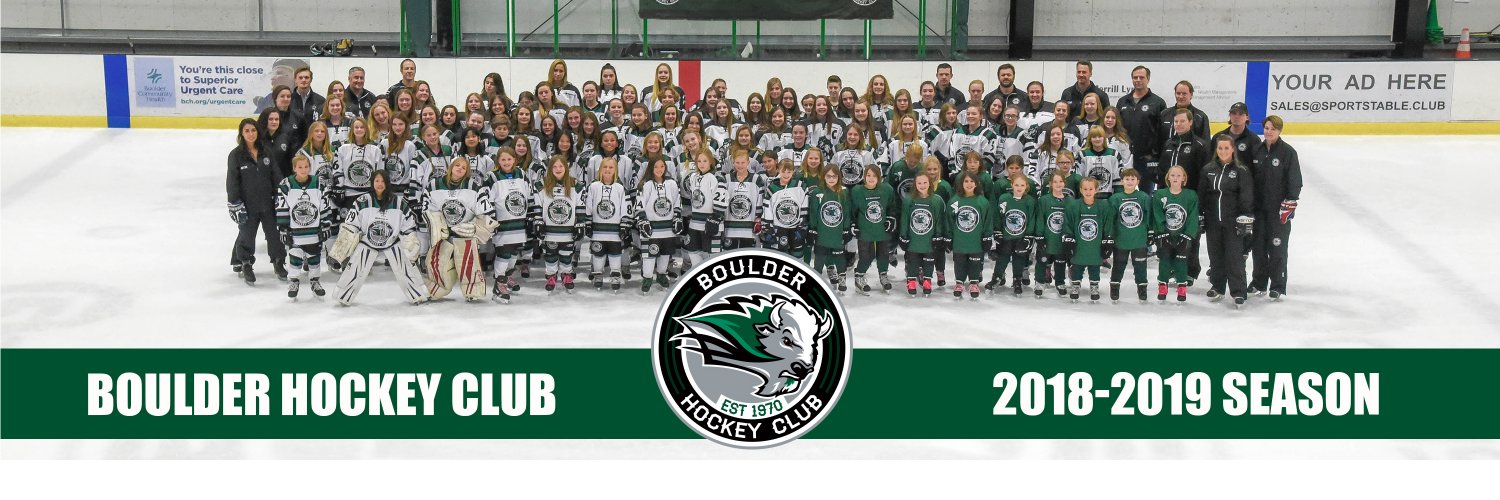 LadyRoughRiders banner