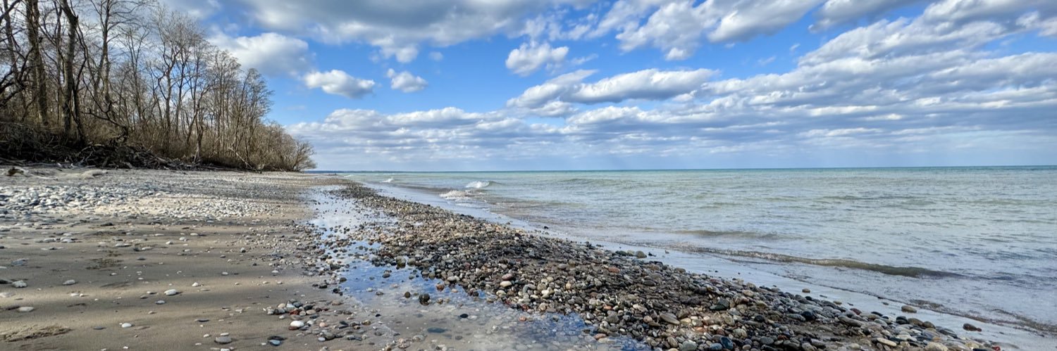 Susan Ruggles banner