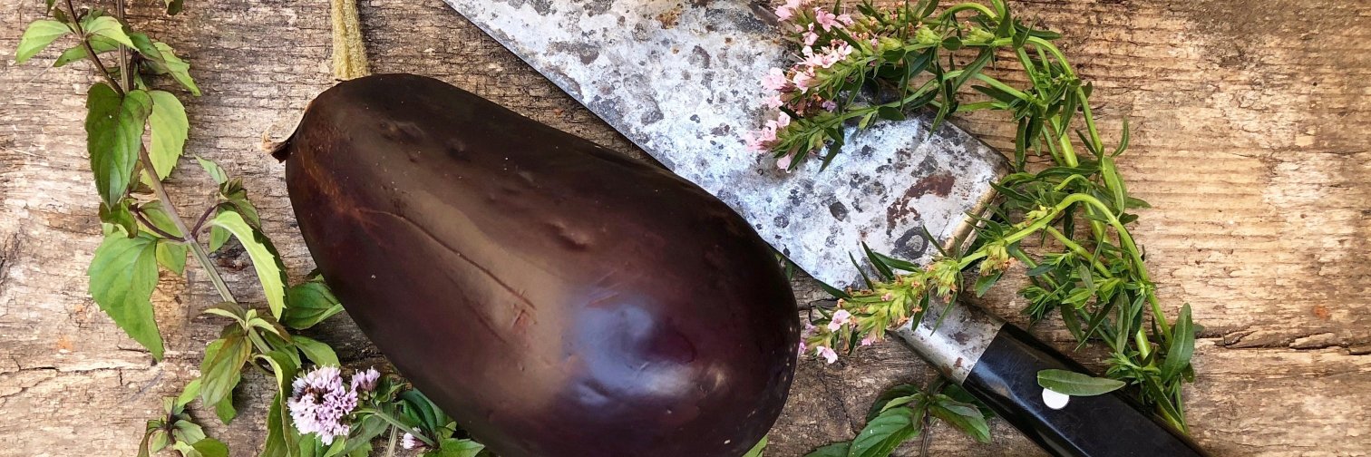 Lindsey Dickson banner