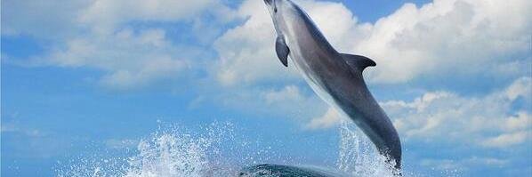 js07292316's profile banner image