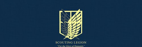 Connie Springer banner