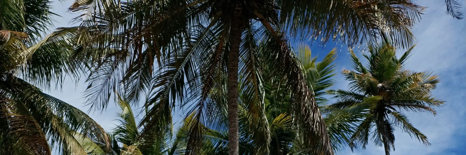 Thayse Onofrio banner