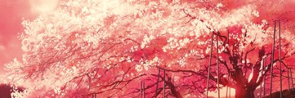 olivia_haras's profile banner image