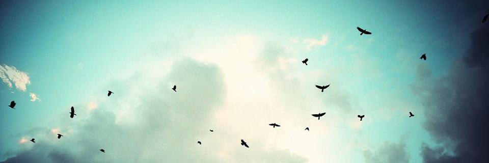 Berkant Mustafa banner