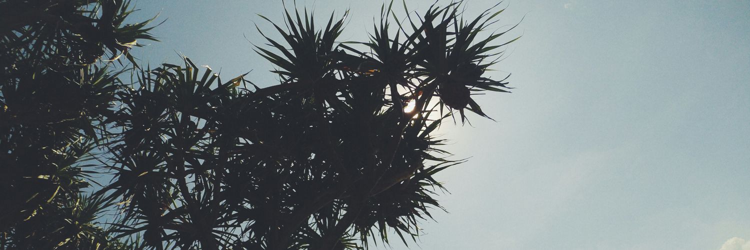 abelaluce's profile banner image