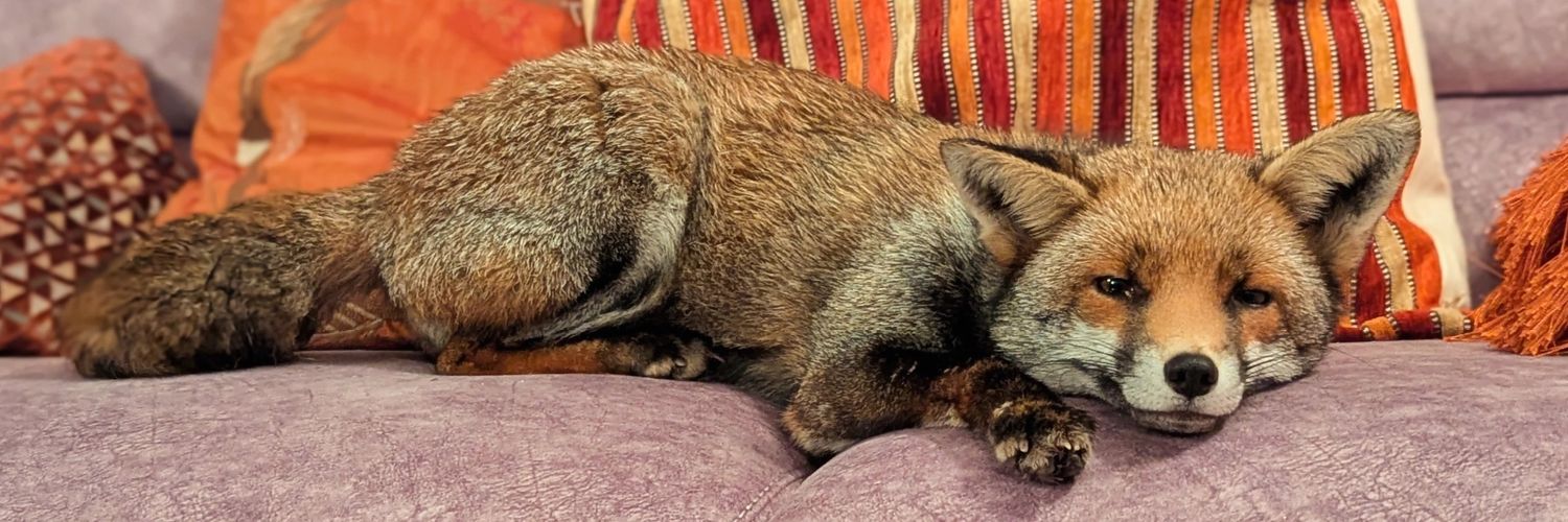 Lucy Goacher 🦊 SMALL SECRETS 🖤 banner