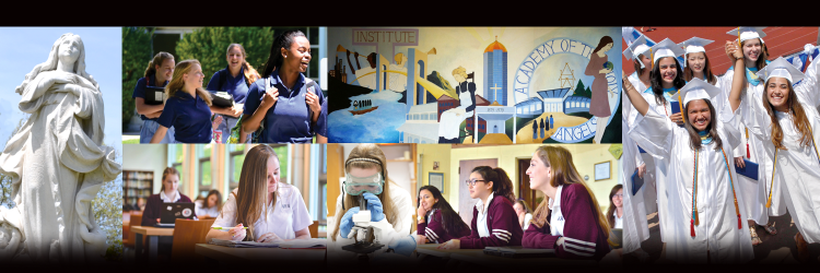 AHA_Principal's profile banner image