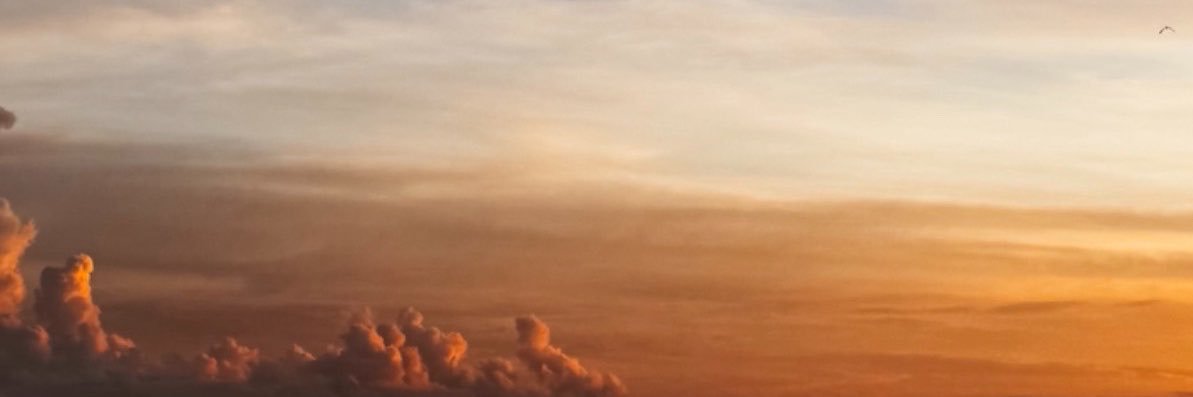 amblinamber's profile banner image