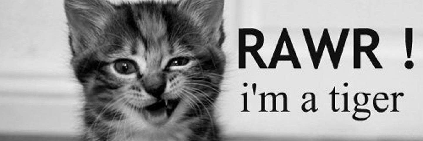 BSarrgent's profile banner image