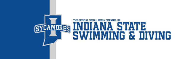 IndStSwimDive Profile Banner