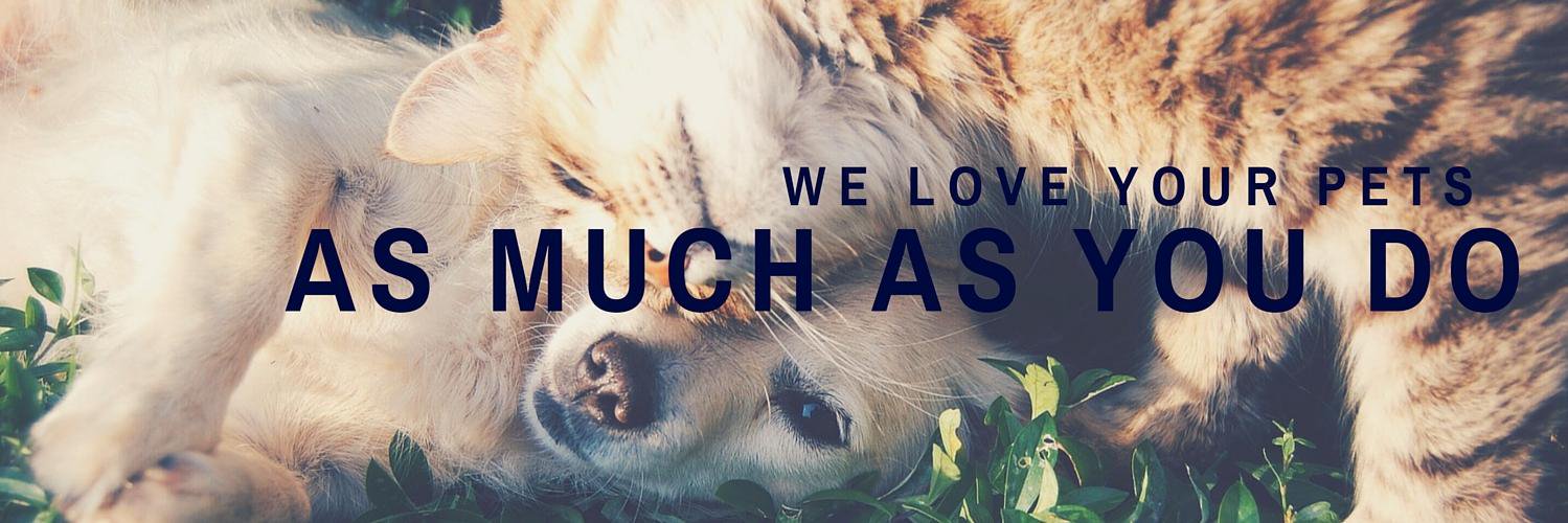 Concord Pet Foods banner