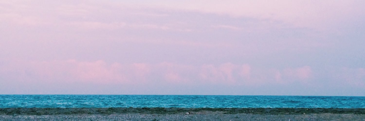 nasrochka's profile banner image