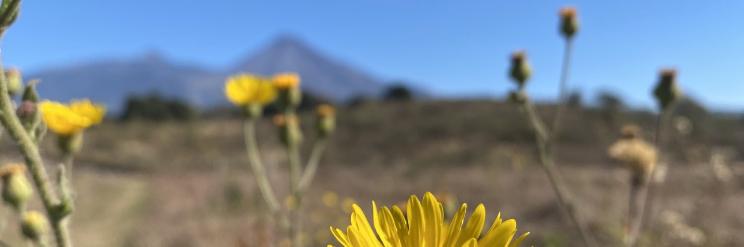 imcoordinadora's profile banner image