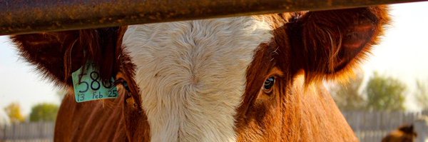 westernfs7105 Profile Banner