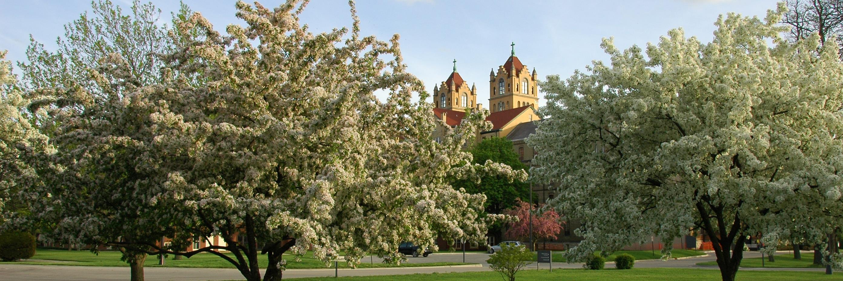 Divine Word-Chicago banner