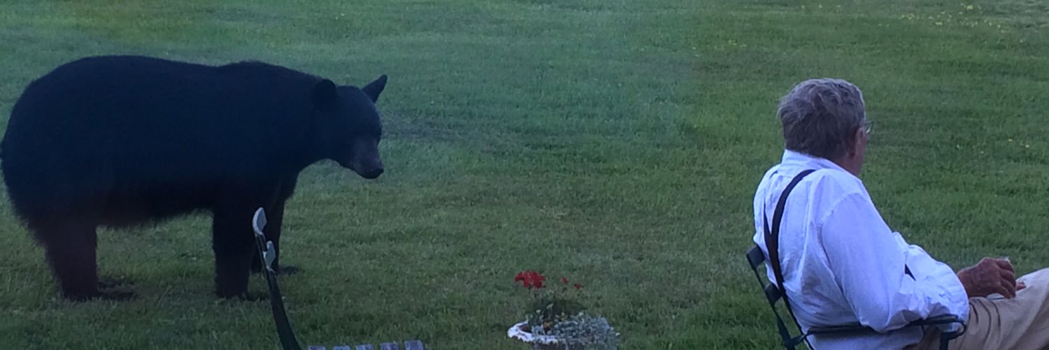 Cushdog5's profile banner image
