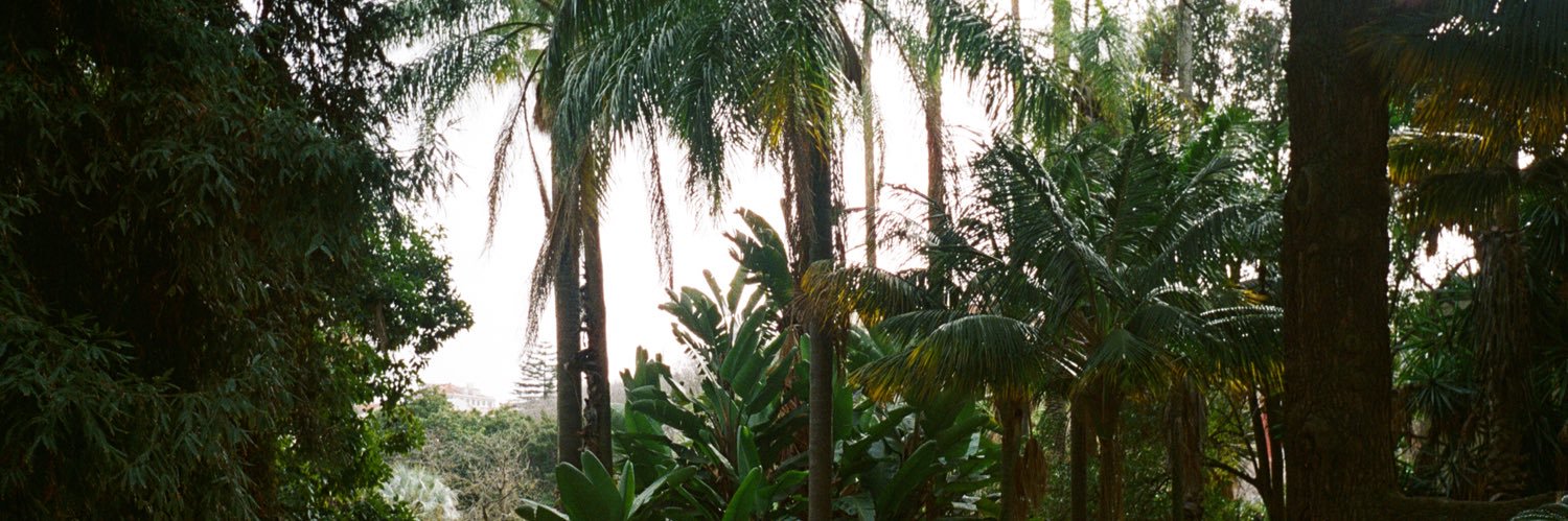 Raam (💙,🧡) banner