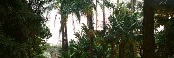 raamcc Profile Banner