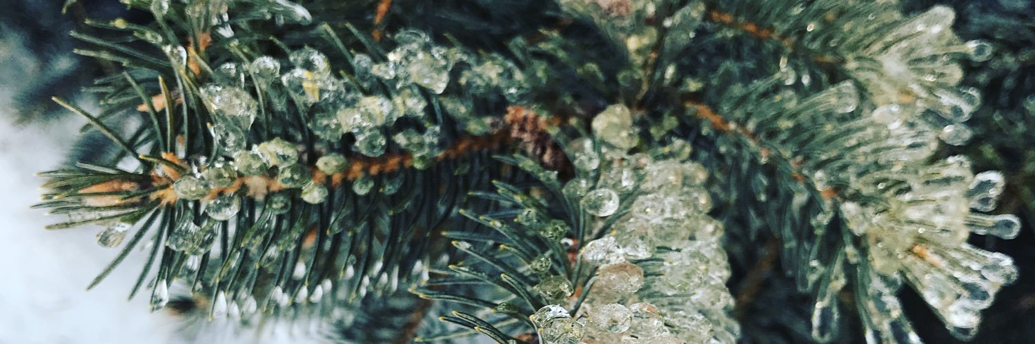 Jill_Humphries's profile banner image