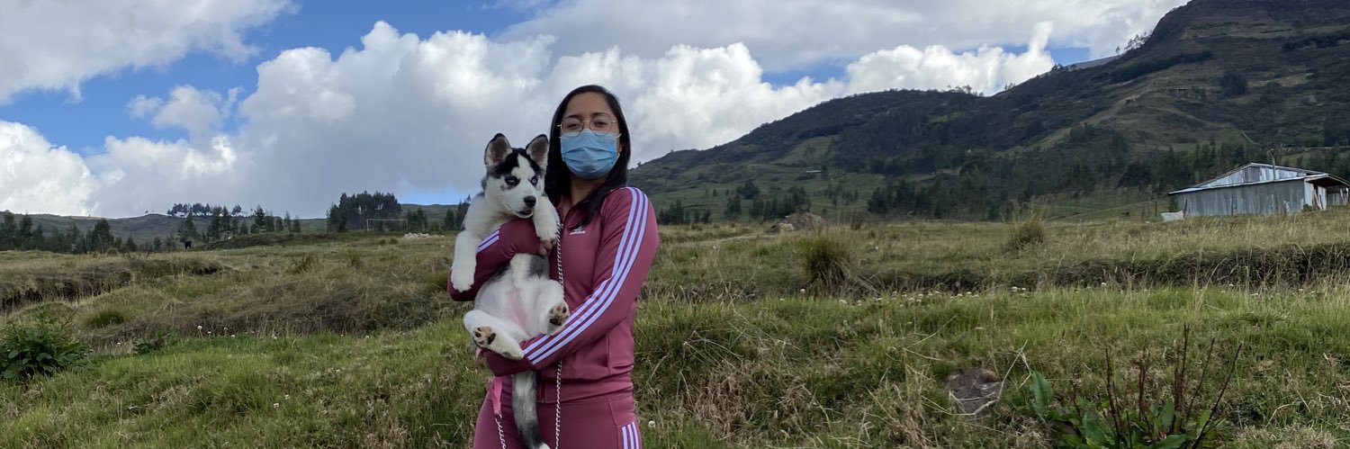 sofiacastillo95's profile banner image